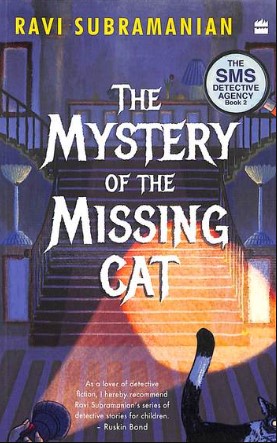 The Mystery of the Missing Cat